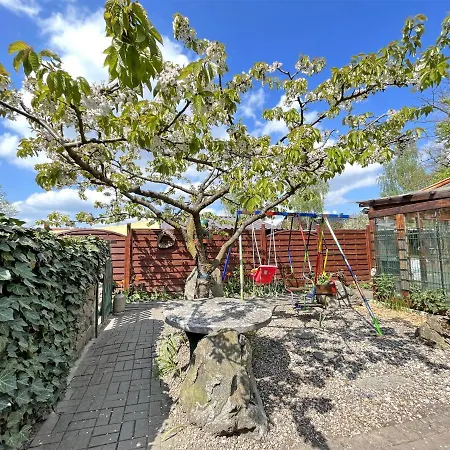 Ferienhaus Ferienhaus Uck 891